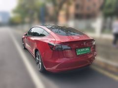Tesla Model 3 556km Rear-Wheel Drive Edition - photo 4