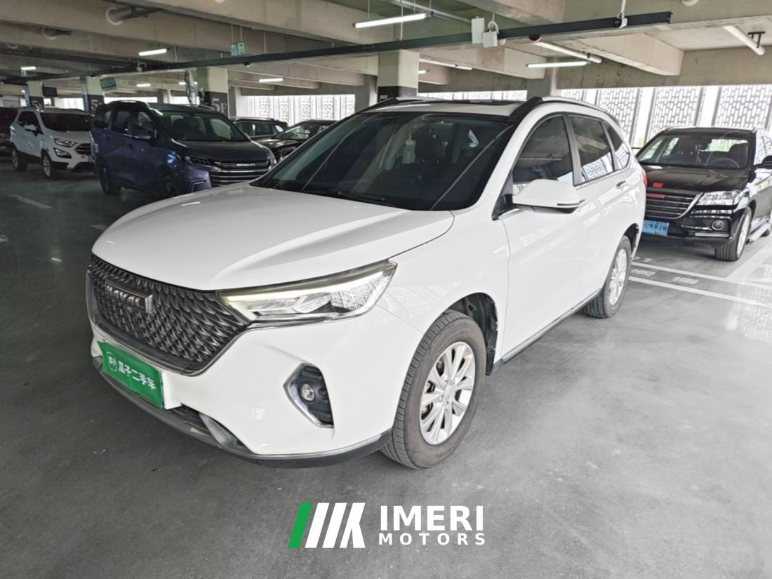 Haval M6 PLUS 1.5T Luxury Version - ავტომობილი ჩინეთიდან