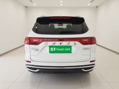 Haval M6 PLUS 1.5T Luxury Version - ფოტო 3