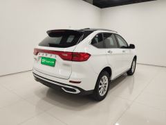 Haval M6 PLUS 1.5T Luxury Version - ფოტო 4
