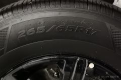 Tank 300 Off-Road Edition 2.0T Conqueror - ფოტო 9