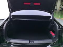 Volkswagen Magotan 300TSI Luxury Edition Show-off - photo 7