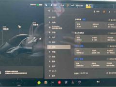 Tesla Model 3 606km Rear-Wheel Drive Edition - ფოტო 20
