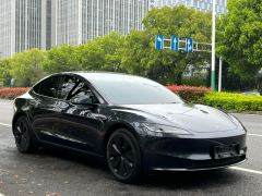 Tesla Model 3 606km Rear-Wheel Drive Edition - ფოტო 7