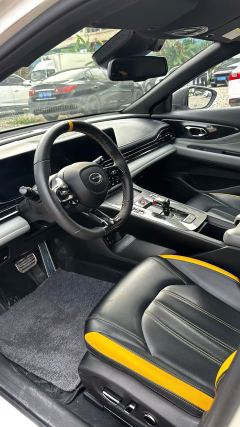 GAC Shadow Leopard 270T J16 Edition - фото 5