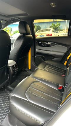 GAC Shadow Leopard 270T J16 Edition - фото 6