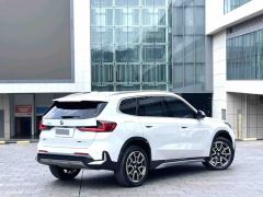 BMW X1 sDrive25Li X Design Package - ფოტო 8
