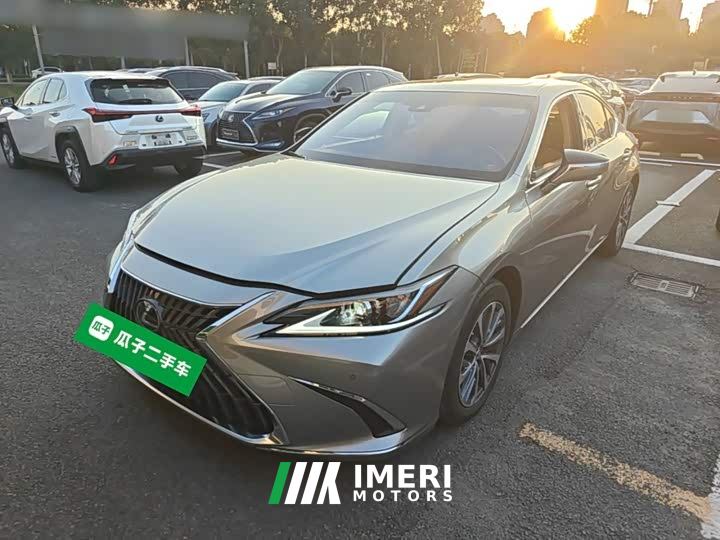 Lexus ES 300h Excellence Edition - car from China