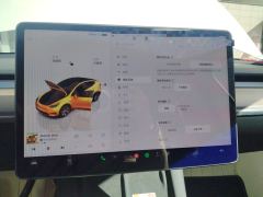 Tesla Model Y 545km Rear-Wheel Drive Edition - ფოტო 20