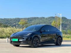 Tesla Model Y Rear-Wheel Drive - ფოტო 1