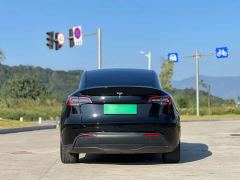 Tesla Model Y Rear-Wheel Drive - ფოტო 5