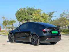 Tesla Model Y Rear-Wheel Drive - ფოტო 6