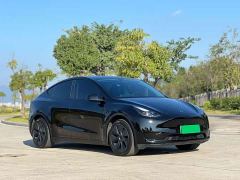 Tesla Model Y Rear-Wheel Drive - ფოტო 7