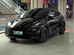 Tesla Model Y Rear-Wheel Drive - ფოტო 1