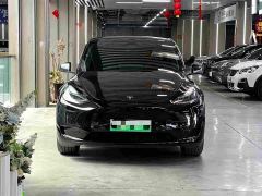 Tesla Model Y Rear-Wheel Drive - ფოტო 2