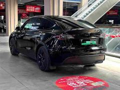 Tesla Model Y Rear-Wheel Drive - ფოტო 3