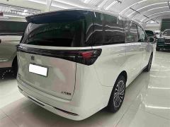 Buick GL8 New Energy Lusang Respect Edition - photo 19