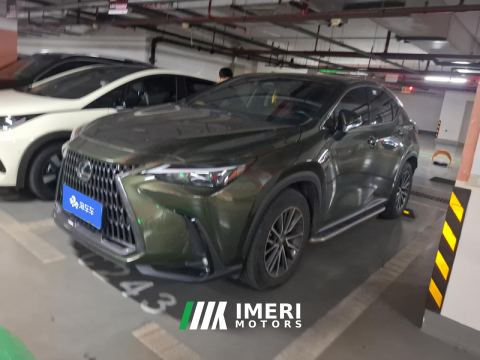 2022 Lexus NX 260 2WD Edition - ავტომობილი ჩინეთიდან
