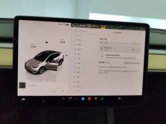 Tesla Model Y 545km Rear-Wheel Drive Edition - ფოტო 17