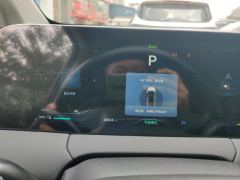 Dongfeng V9 1.5T 200km Luxury Version - ფოტო 20