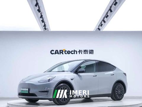 2021 Tesla Model Y Standard Range RWD - ავტომობილი ჩინეთიდან