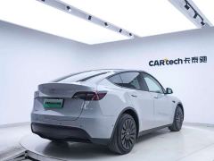 Tesla Model Y Standard Range RWD - фото 19