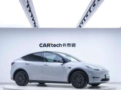 Tesla Model Y Standard Range RWD - фото 2