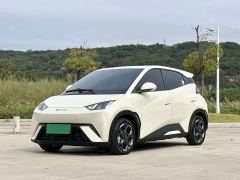 BYD Seagull 405km Flying Edition - ფოტო 1