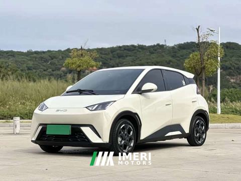 2024 BYD Seagull 405km Flying Edition - ავტომობილი ჩინეთიდან