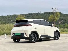 BYD Seagull 405km Flying Edition - ფოტო 4