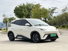 BYD Seagull 405km Flying Edition - ფოტო 5