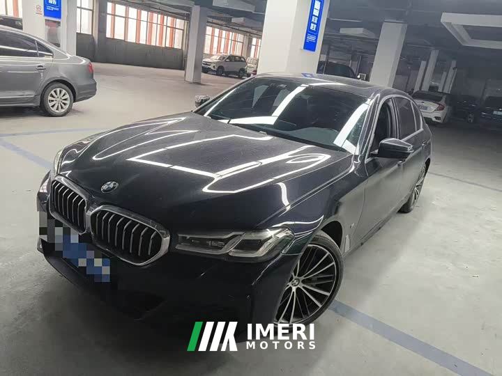 BMW 5 Series 530Li Premier M Sport Package - автомобиль из Китая