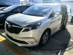 Buick GL8 ES Luxury Edition 653T Luxury Edition 7-seater - фото 1