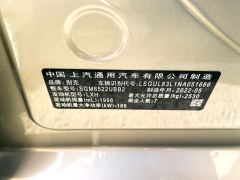 Buick GL8 ES Luxury Edition 653T Luxury Edition 7-seater - фото 11