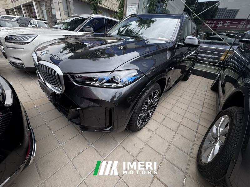 BMW X5 xDrive40Li M Sport Dark Night Package - car from China