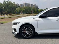 Geely Xingrui 2.0T Xiaohan Edition - ფოტო 18