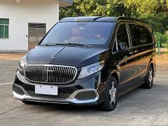Mercedes-Benz Vitamin 2.0T Business Edition 7-seater - photo 1