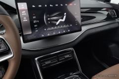 BYD Tang DM 2.0TI AWD EditionPremium Version - photo 16