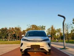 BYD 05EV 520km Flagship Edition - ფოტო 2