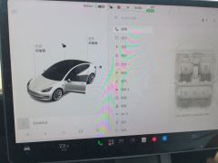 Tesla Model 3 Standard Range Edition 3D1 - фото 7