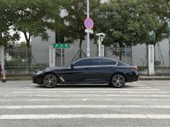 BMW 5 Series Facelift 530Li Premier M Sport Package - ფოტო 5