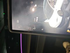 Tesla Model 3 606km Rear-Wheel Drive Edition - ფოტო 10