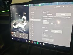Tesla Model 3 606km Rear-Wheel Drive Edition - ფოტო 20