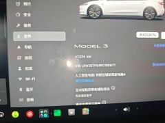 Tesla Model 3 606km Rear-Wheel Drive Edition - ფოტო 8