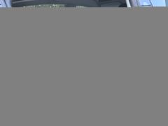 Tesla Model 3 606km Rear-Wheel Drive Edition - ფოტო 10