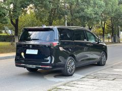Buick GL8 Plug-in Hybrid Luxing 1.5T 142km Exclusive Edition - фото 8