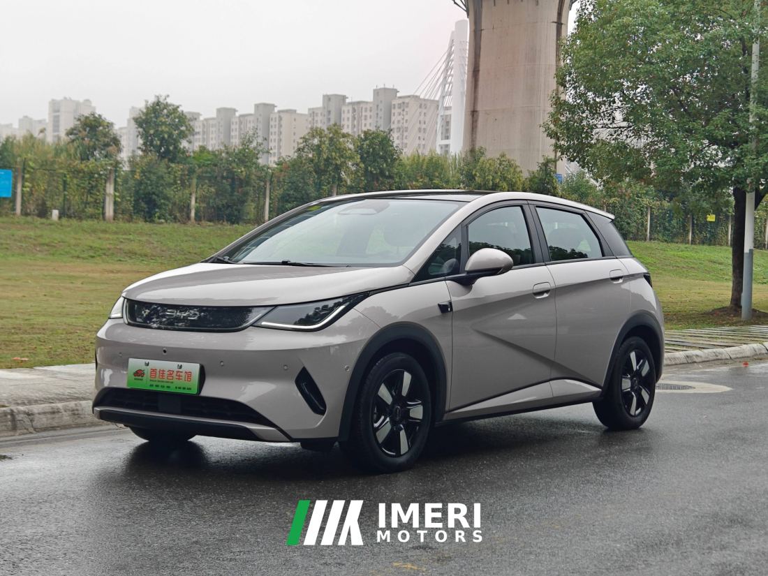 BYD Dolphin Smart Driving Edition 410km Stylish Edition - car from China