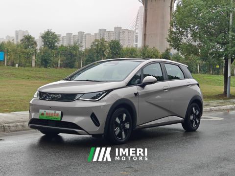 2025 BYD Dolphin Smart Driving Edition 410km Stylish Edition - автомобиль из Китая