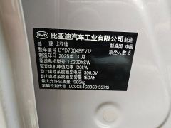 BYD Dolphin Smart Driving Edition 410km Stylish Edition - photo 18
