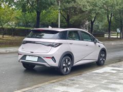 BYD Dolphin Smart Driving Edition 410km Stylish Edition - photo 8